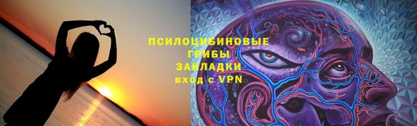 ГАЛЛЮЦИНОГЕННЫЕ ГРИБЫ Вязьма