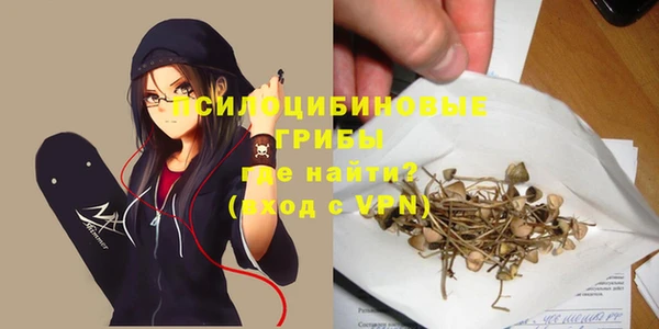 mix Вяземский