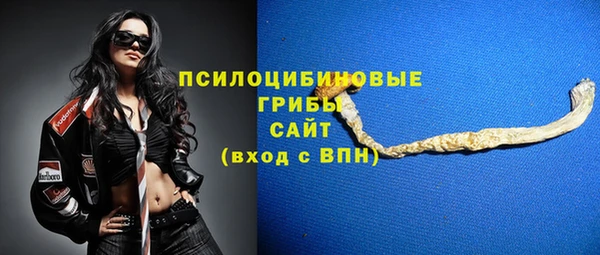 mix Вяземский