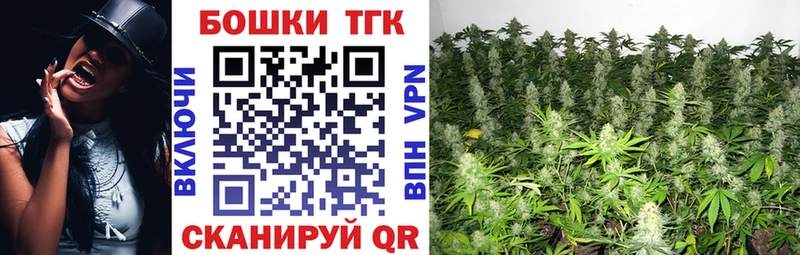 где купить   Миасс  Канабис Amnesia 